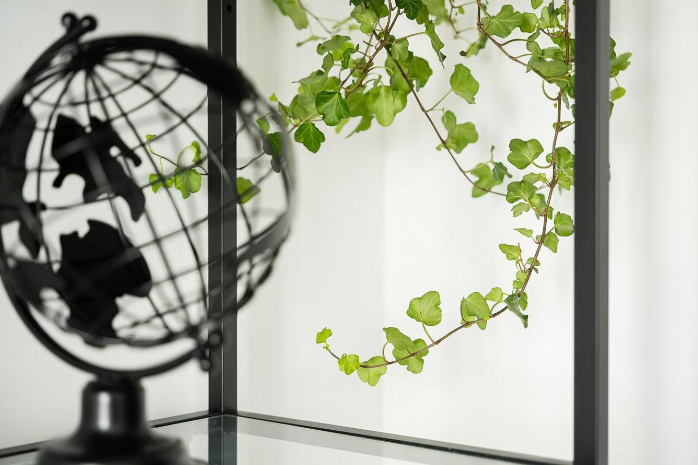 Apartament Guestready - Serene In